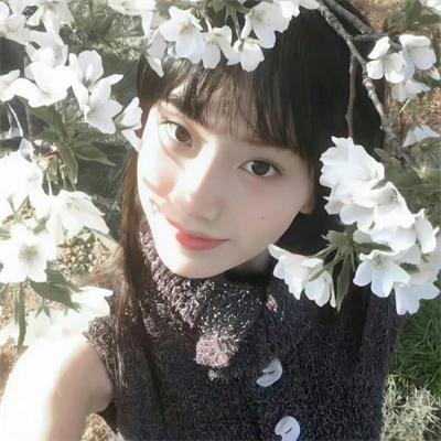 田中君总是如此慵懒